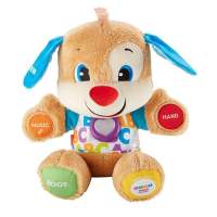 Fisher Price learning fun puppy dog
