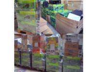 Najswiezsza oferta Elektronarzedzi i kosiarek ogrodowych